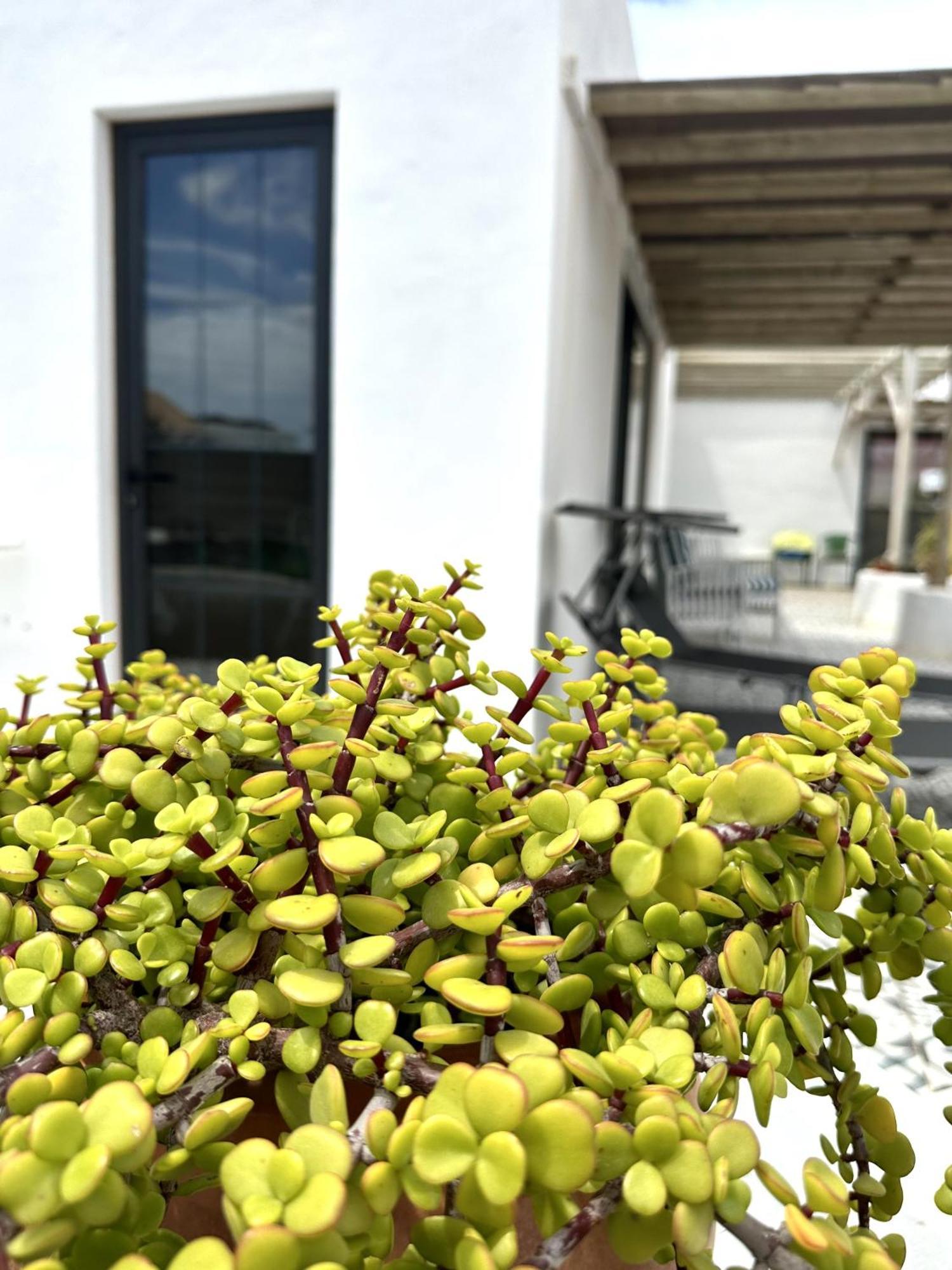 Casita Tiare Lajares Apartment ภายนอก รูปภาพ